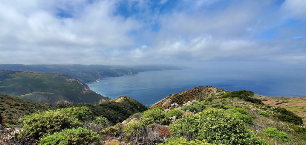 scorpion cove vs. prisoners harbor santa cruz island montanon ridge