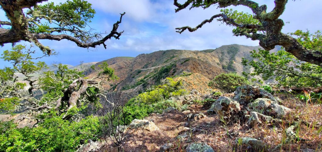 Montanon Ridge Loop Trail at scorpion cove hiking