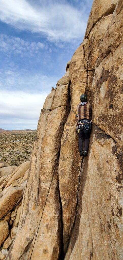 crack climbing joshua tree