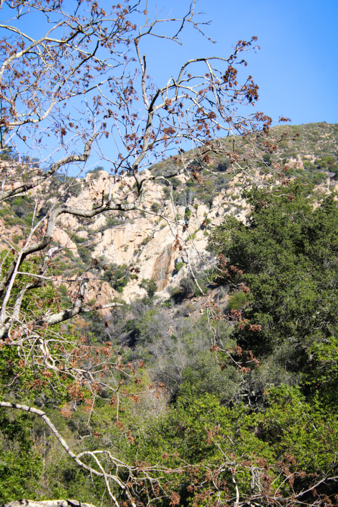 santa barbara waterfall hike tangerine falls view west fork cold spring trail