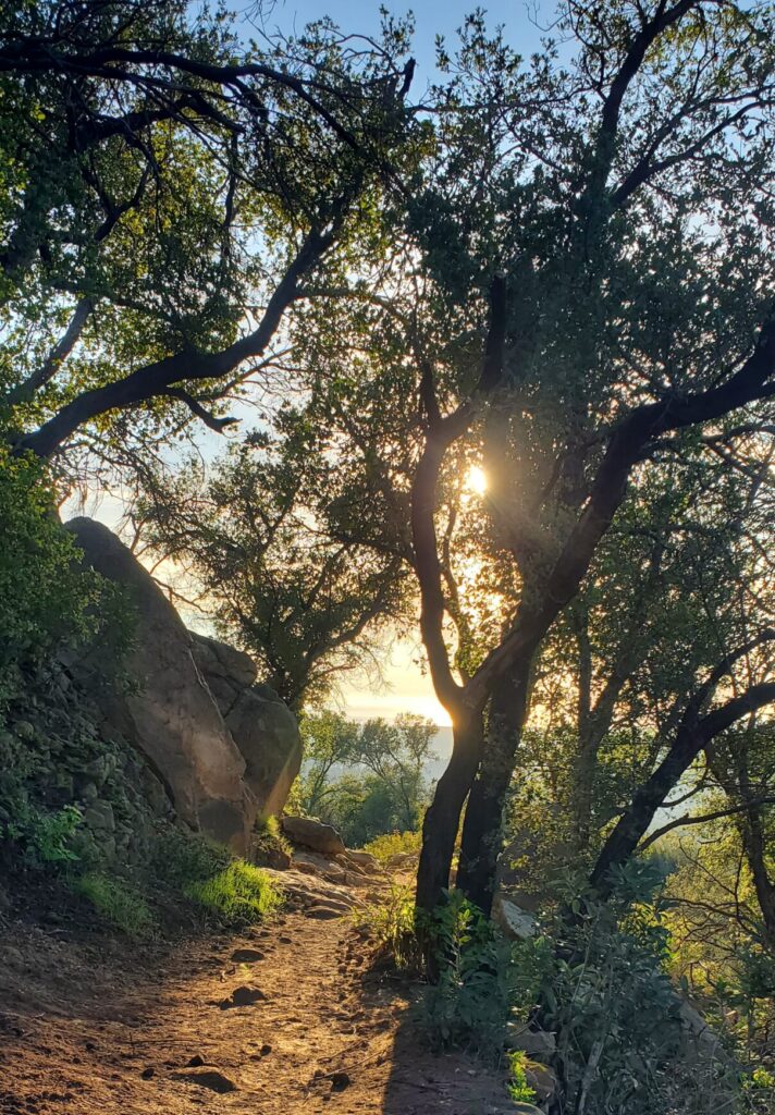 one day in santa barbara hiking cold spring trail