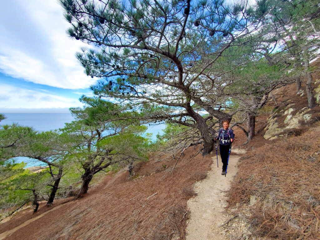 best views of channel islands national park hiking torrey pines