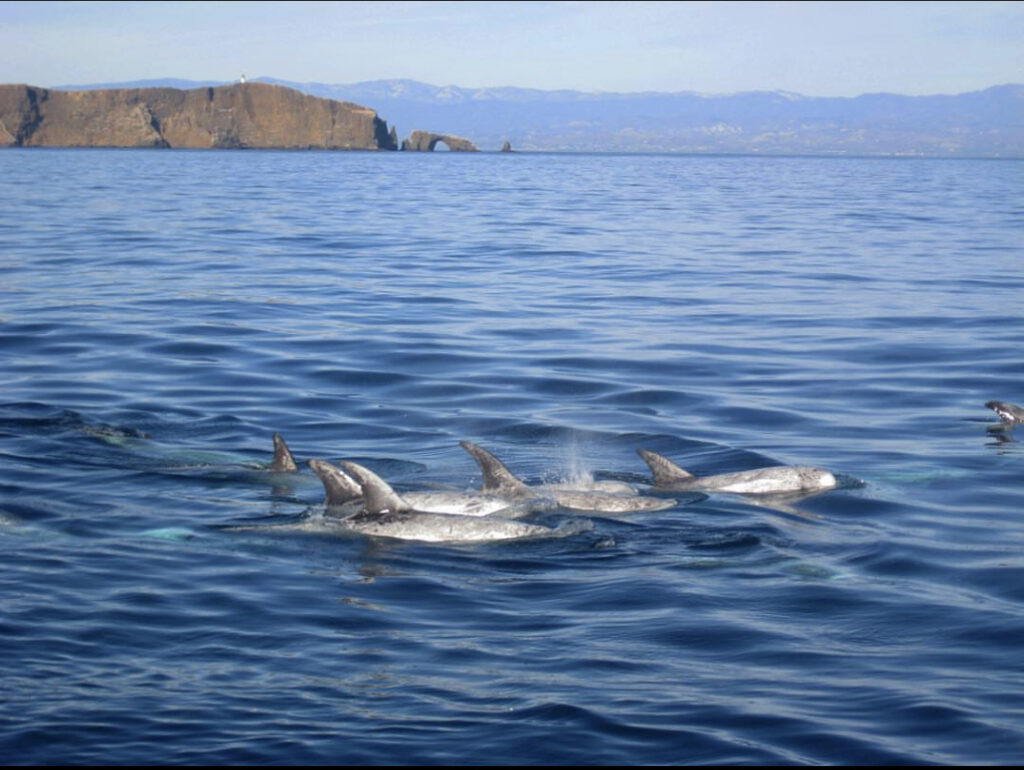 anacapa island weather