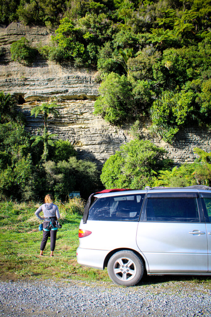 new zealand rock climbing weka wall