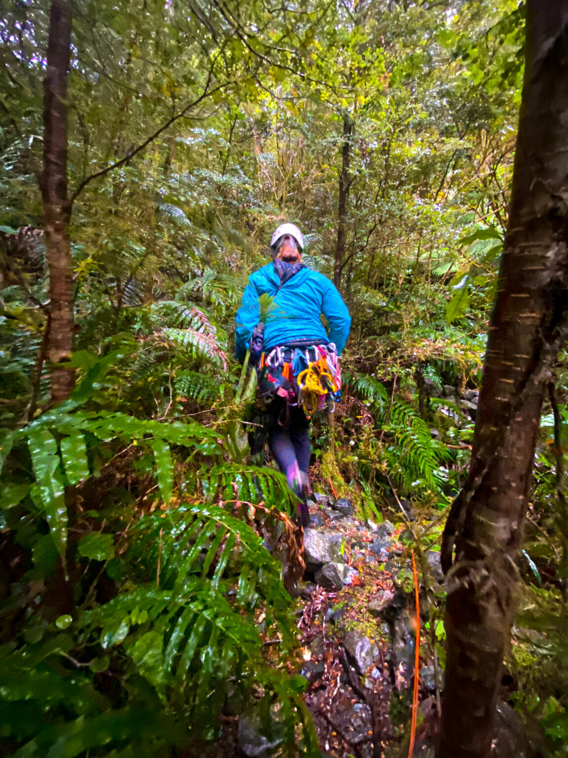 New Zealand Rock Climbing: 6 South Island Sport Climbing Crags