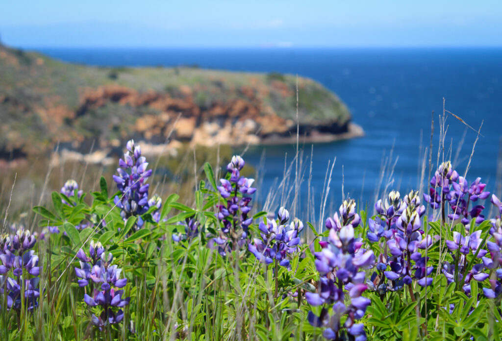 channel islands hikes