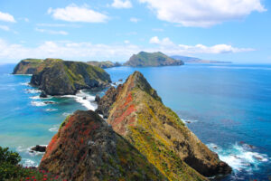 anacapa island wildflowers at inspiration point