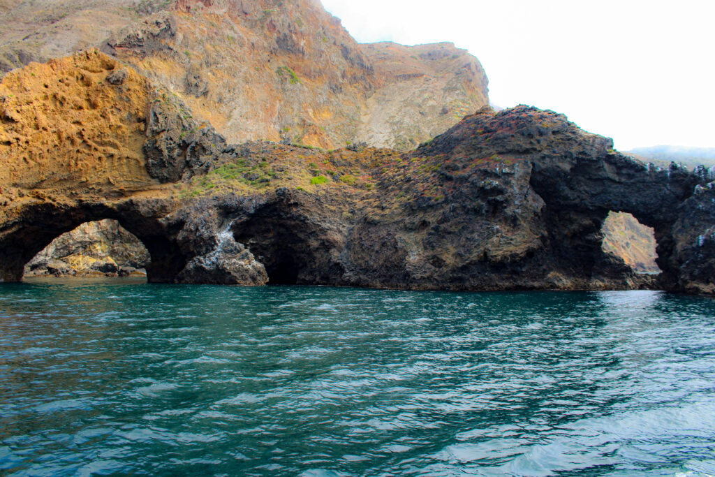 california snorkeling tour