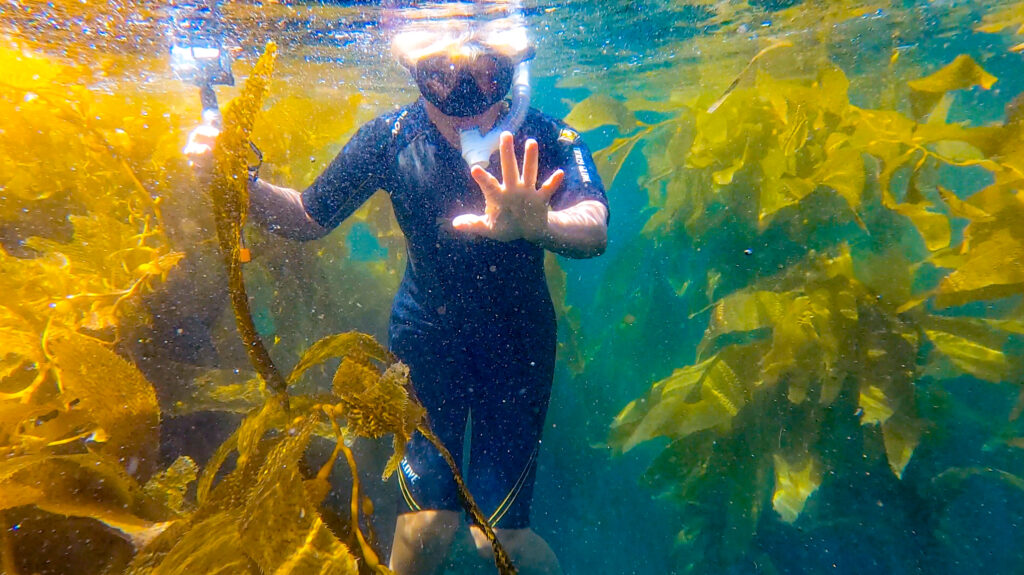 california snorkeling destintion