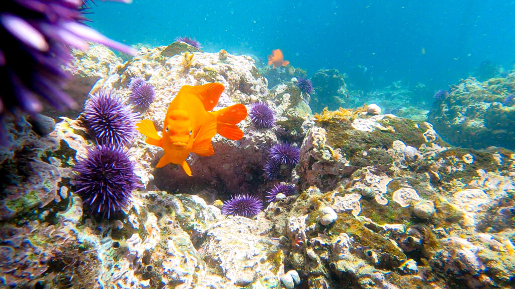 things to d oin channel islands national park