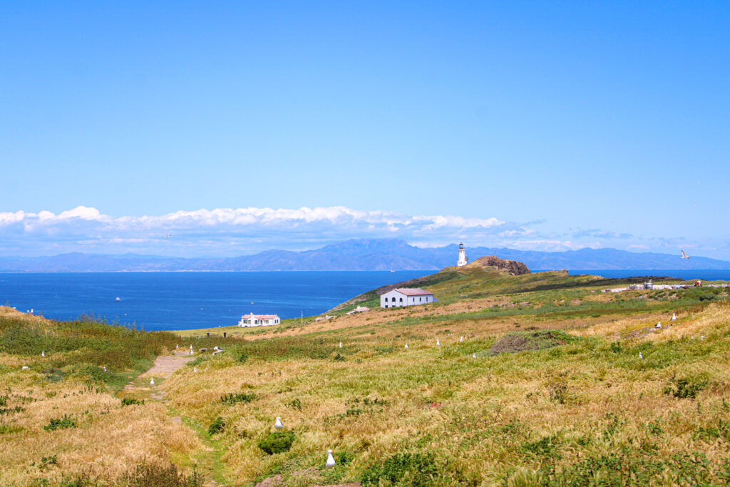 things to do in channel islands national park