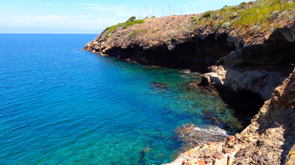 channel islands snorkeling