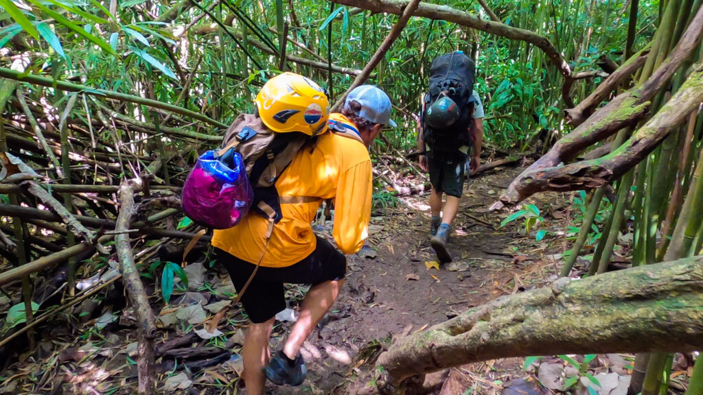 oahu excursions