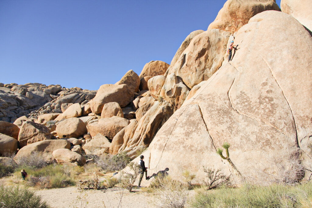 sunny beginner Joshua tree rock climbs