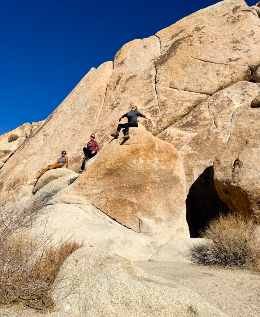 indian cove Joshua tree