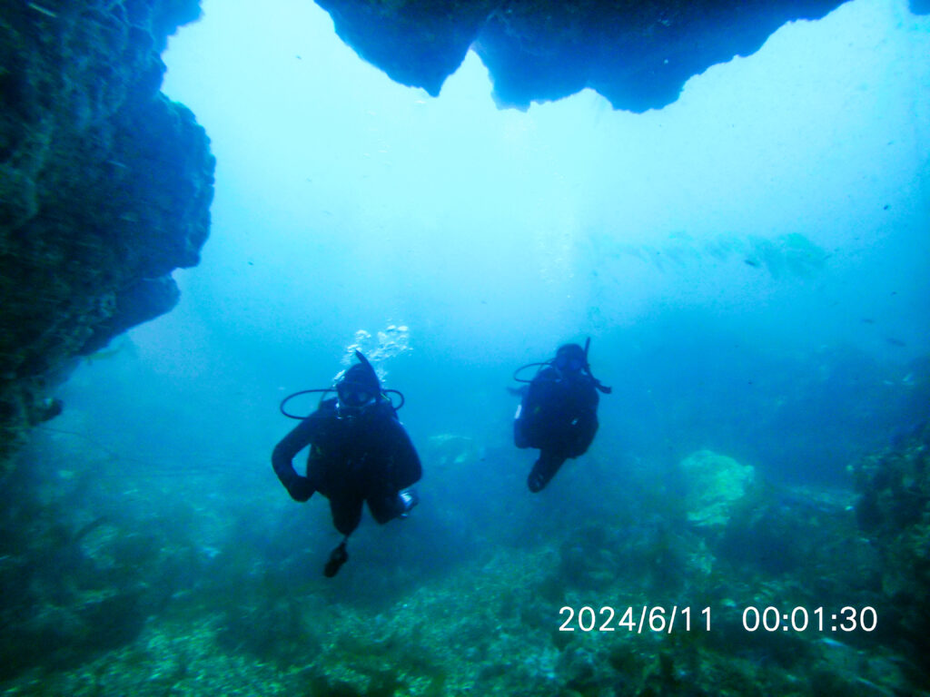 Channel Islands scuba