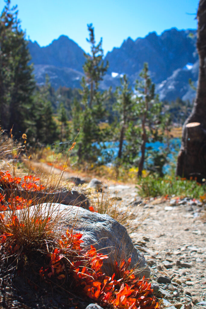 duck lake pass trail