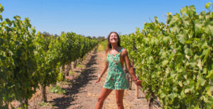 solvang wine tasting tour