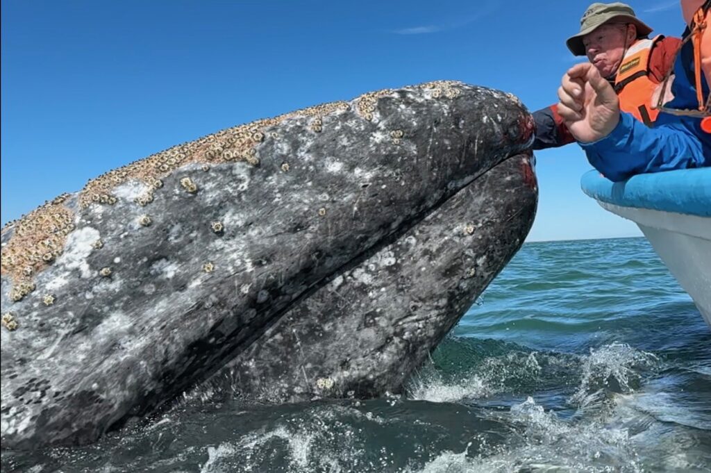 best time to visit Loreto Mexico