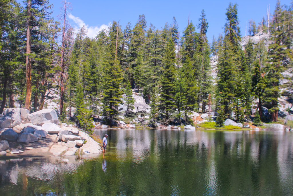 Heather Lake sequoia national park