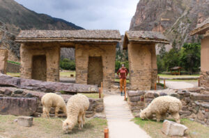 top day trips from cusco ollantaytambo